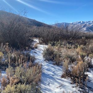 Meet your Posher, Wayne